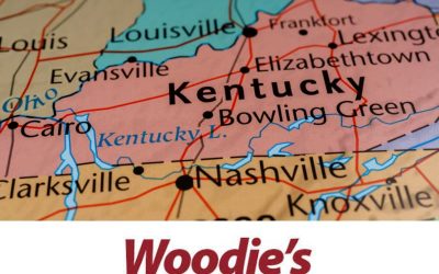 Reliable Appliance Repair Services Lexington, Kentucky: Woodie’s Expertise at Your Service